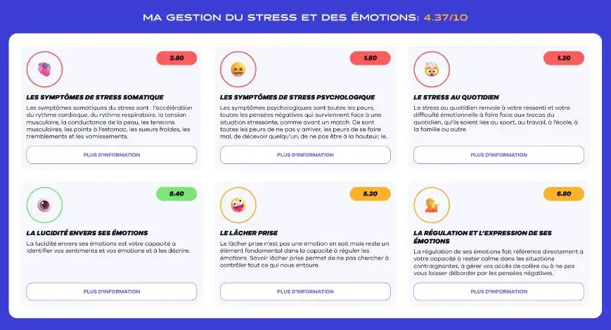 Extrait du test profilage mental Minnd