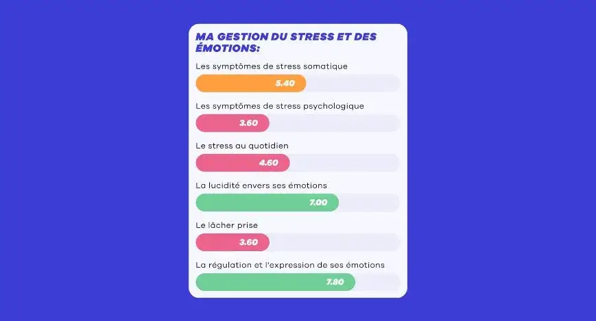 Analyse micro profil mental